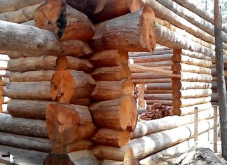 Сруб из лиственницы, что это?