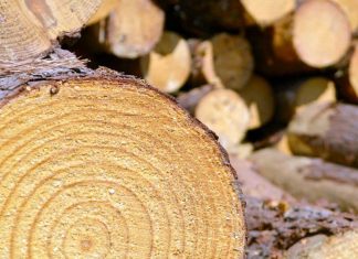 Достоинства и недостатки срубов из зимнего дерева